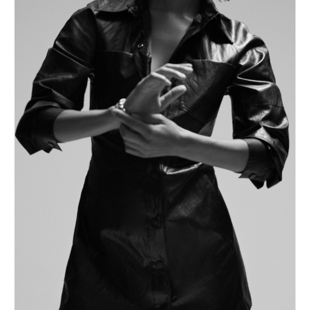 Zara Faux Leather dress